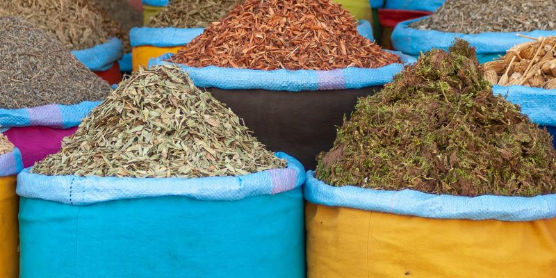 Why Morocco is a Tapestry of Colors, Flavors, and Warmth